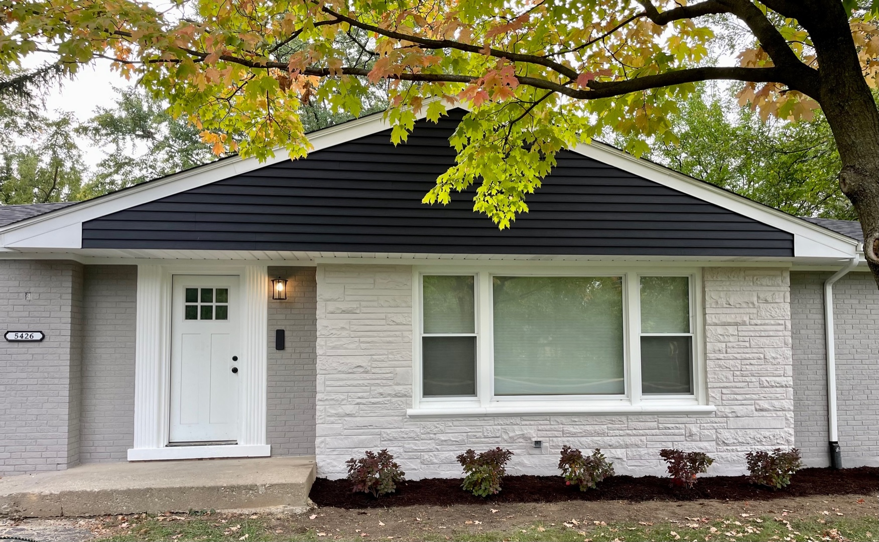 5426 Wolf Road Western Springs, IL 60558 - Photo 15 of 19 a front view of a house