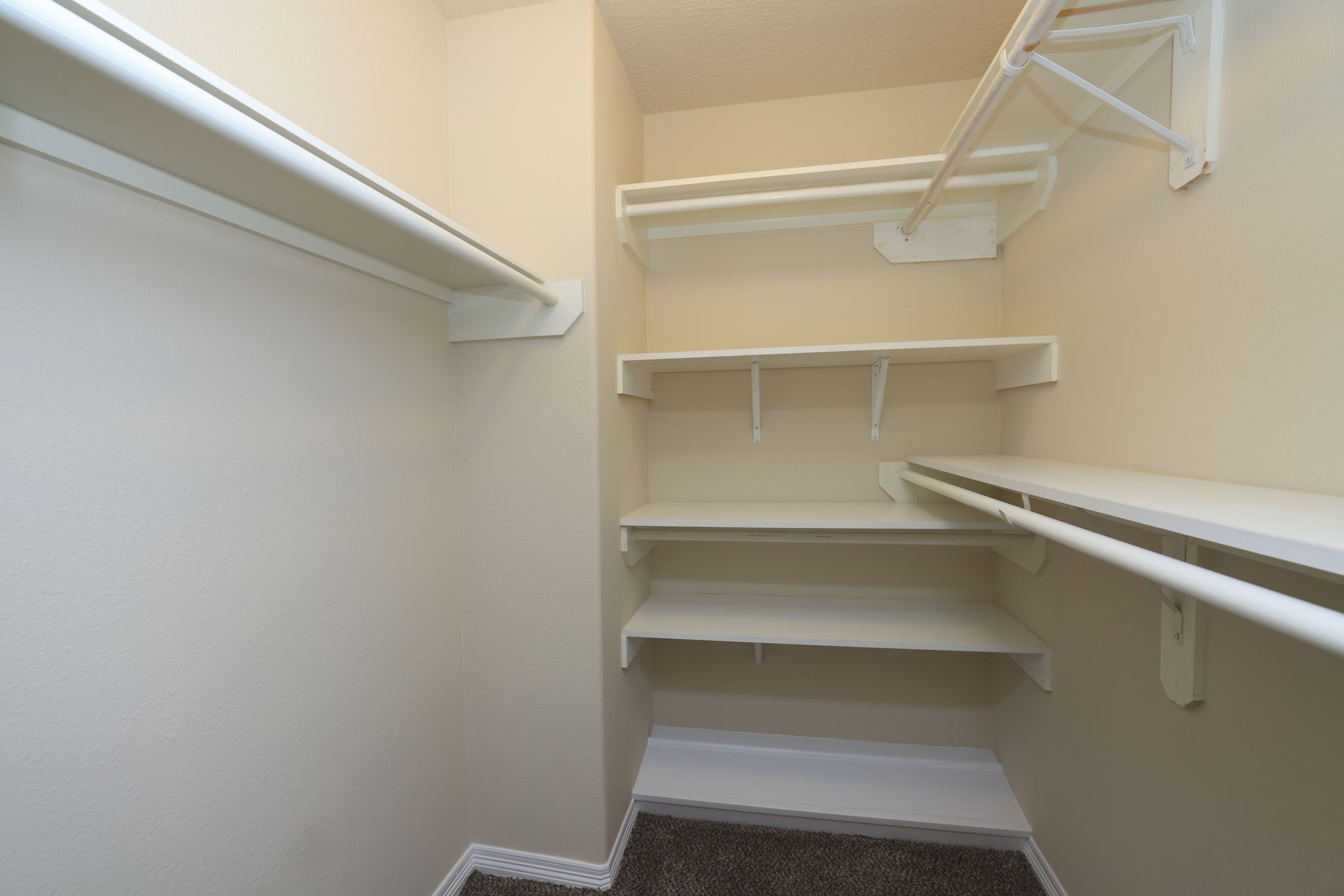 24139 Spring Sunset Drive Spring, TX 77373 - Photo 36 of 49