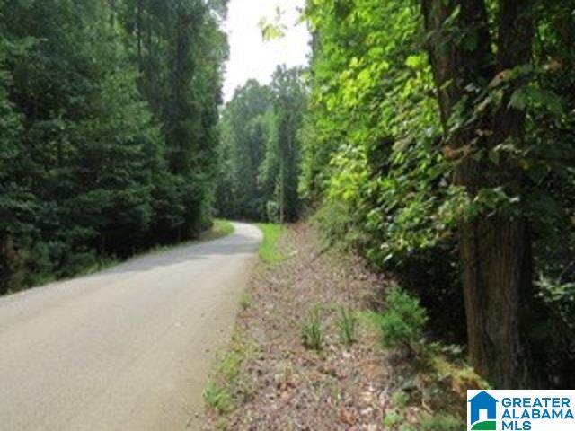 1980 Dripping Rock Road, Unit 20 50 AC Piedmont, AL 36272 - Photo 13 of 19