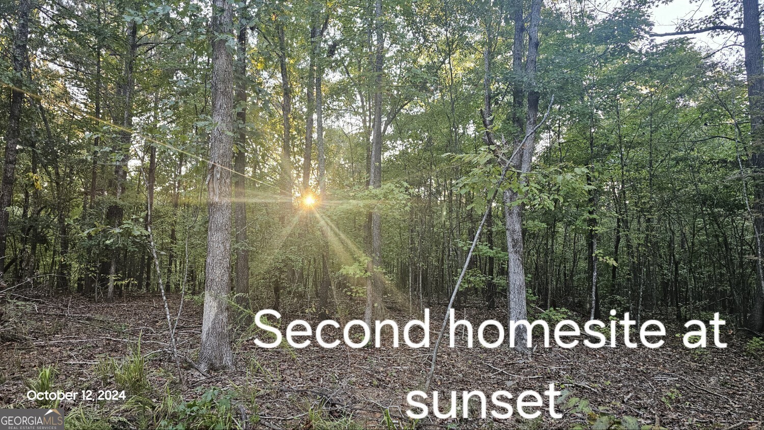 584 Moccasin Gap Road Jackson, GA 30233 - Photo 8 of 10