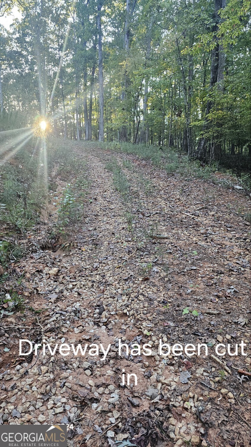 584 Moccasin Gap Road Jackson, GA 30233 - Photo 9 of 10