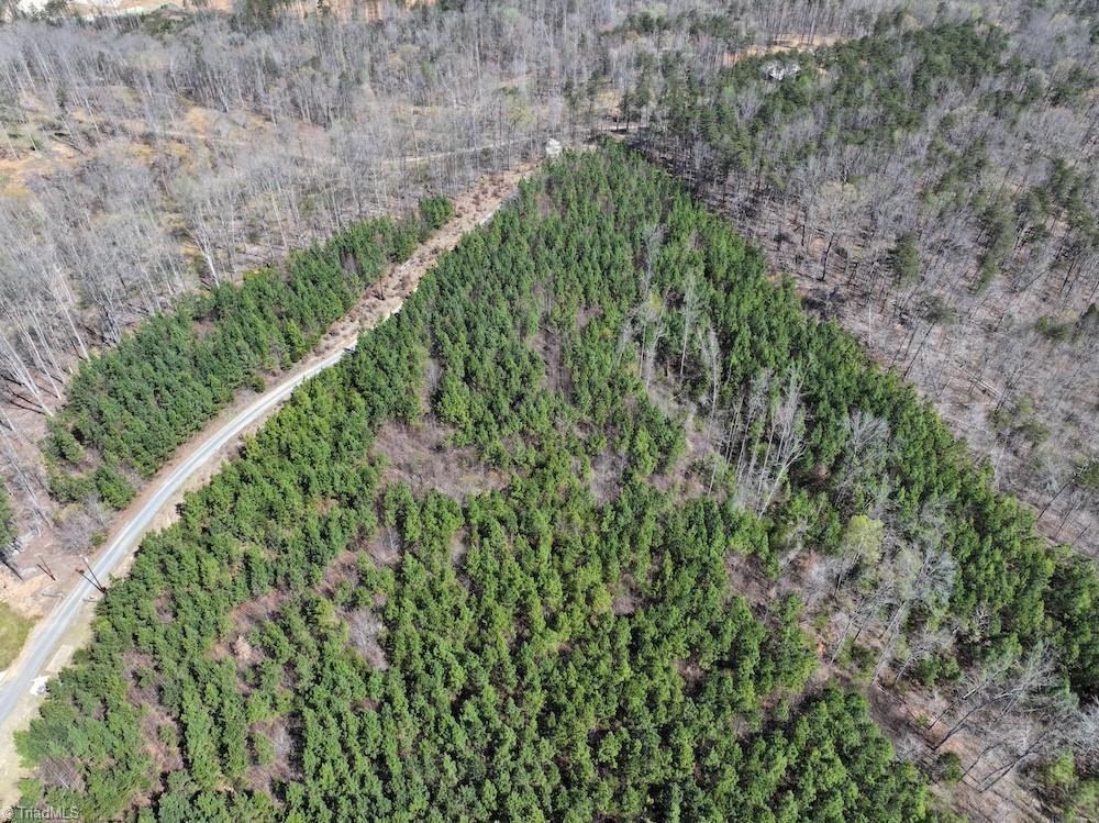 508 New Lebanon Church Road Reidsville, NC 27320 - Photo 11 of 35