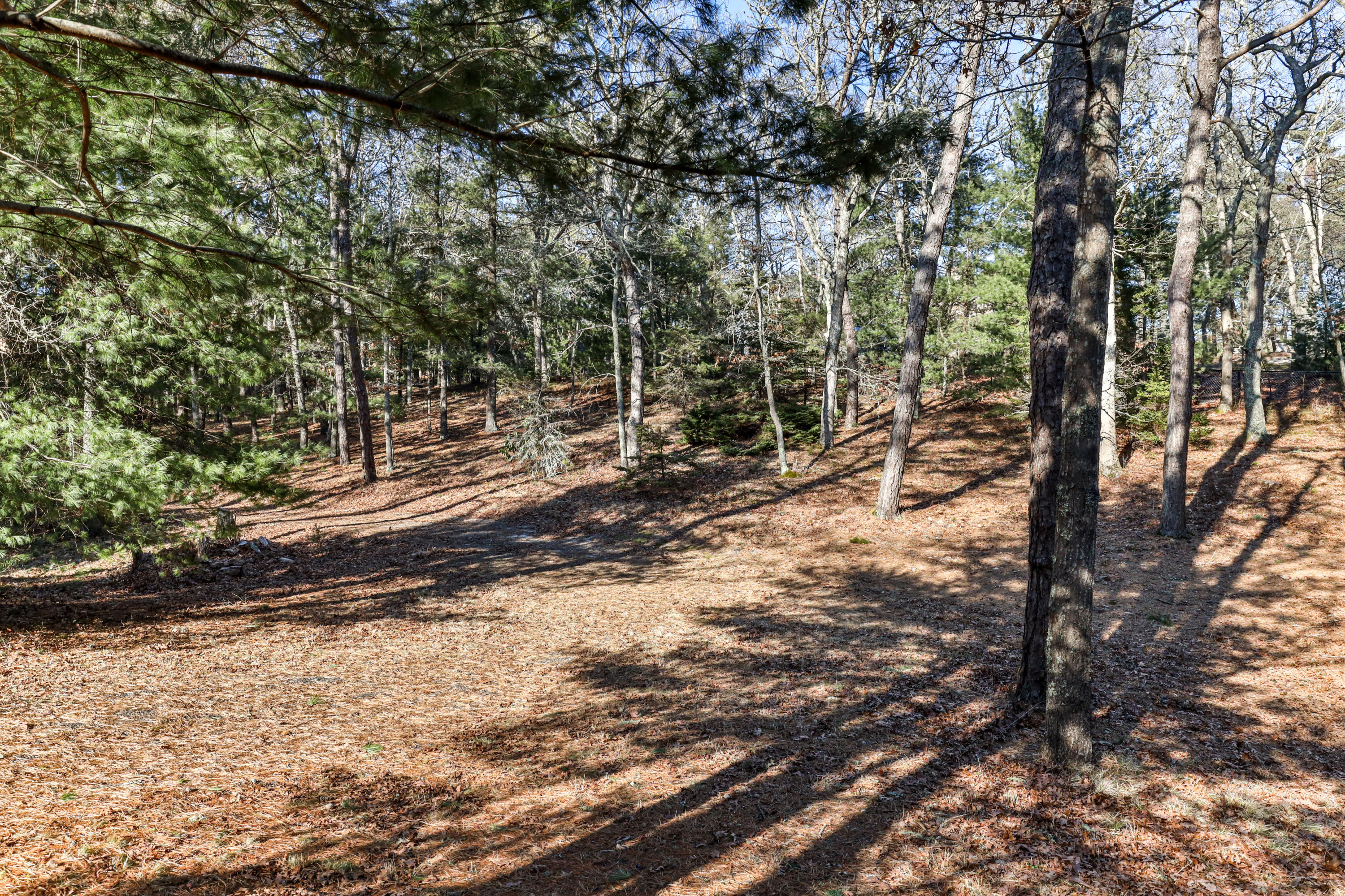 533 Poponessett Road Cotuit, MA 02635 - Photo 17 of 20 533PopLR-32