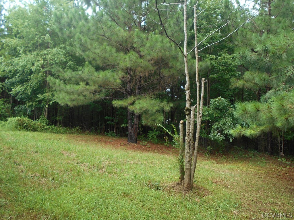 608 Scotts Bottom Road Dillwyn, VA 23936 - Photo 5 of 14