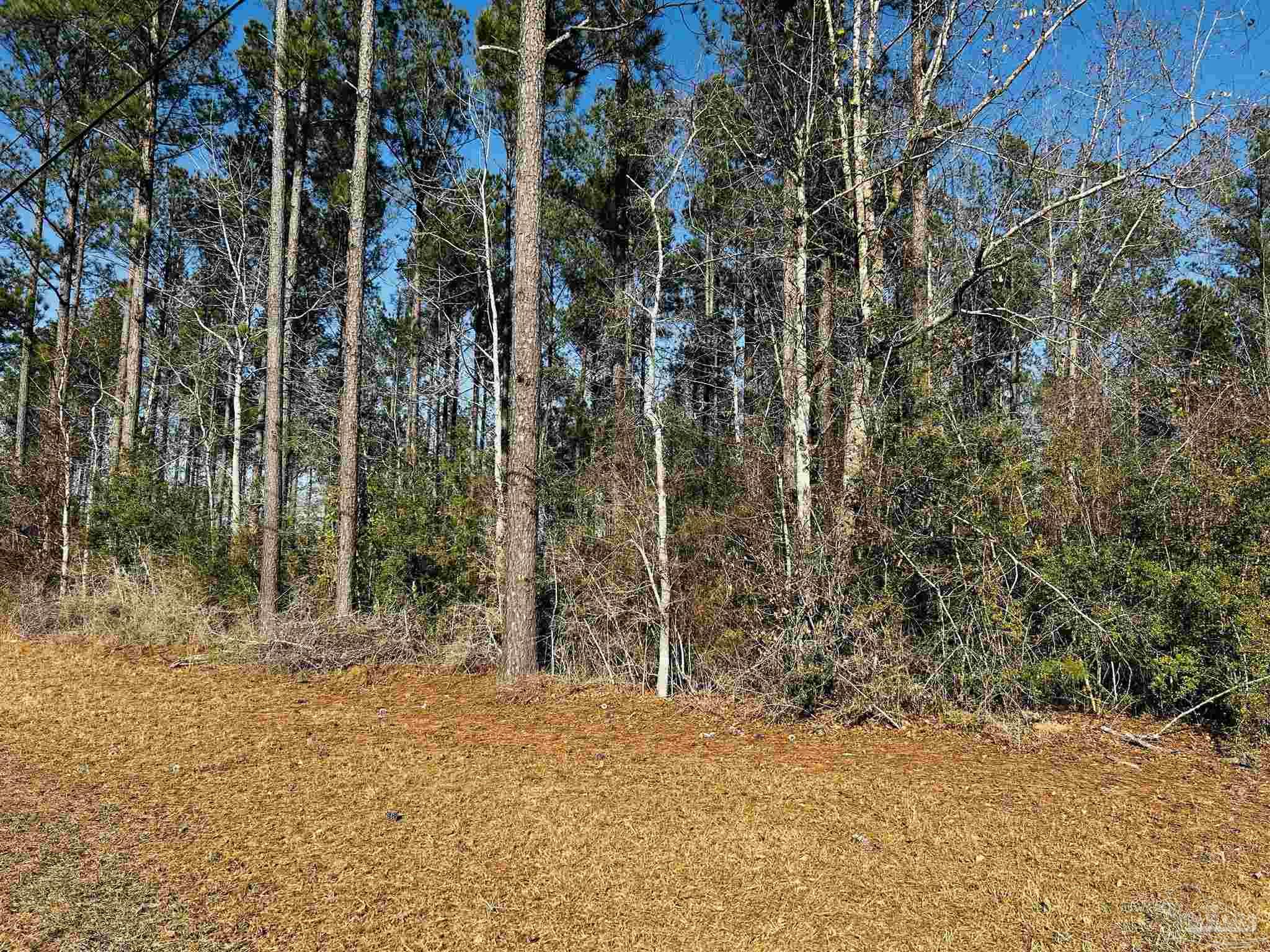 Lot 406 Country Mill Road Jay, FL 32565 - Photo 3 of 10