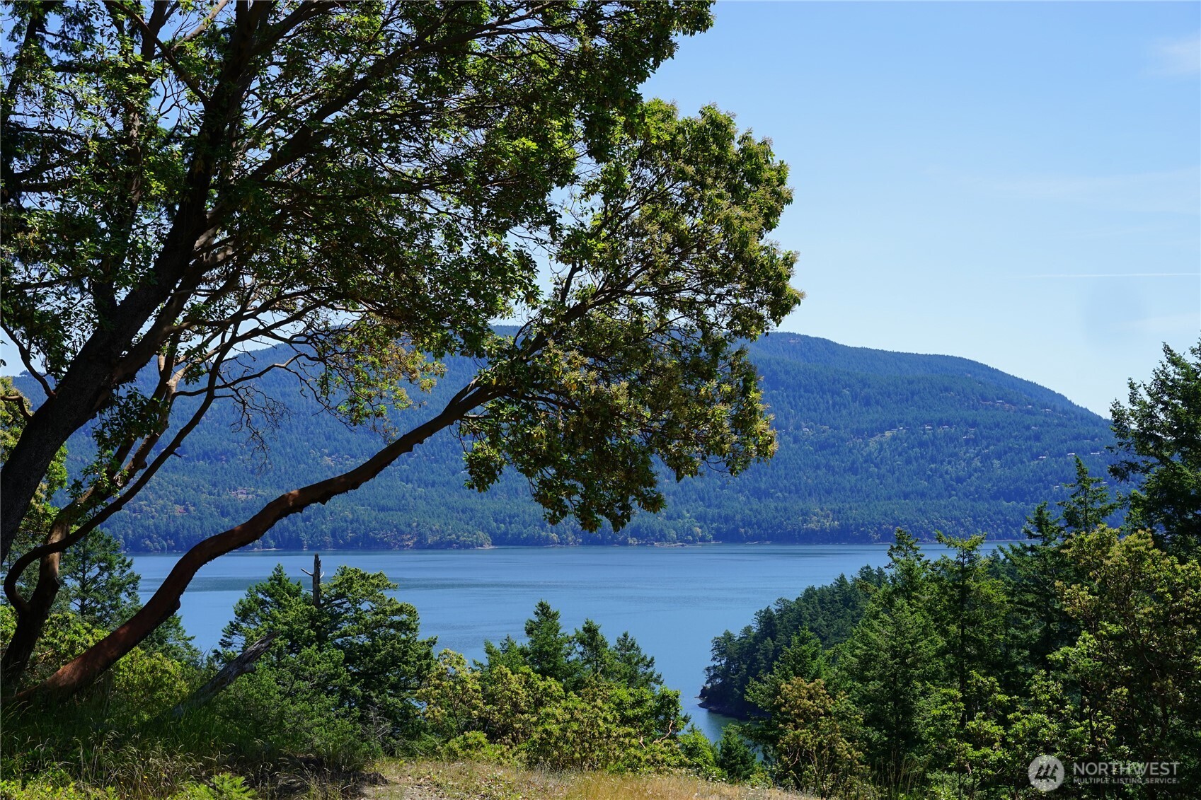 271 Blanc Road Orcas Island, WA 98245 - Photo 30 of 36