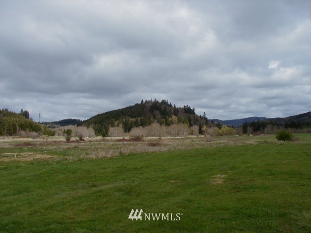 999 Doyle Road Raymond, WA 98577 - Photo 2 of 3 Gallery Image 2