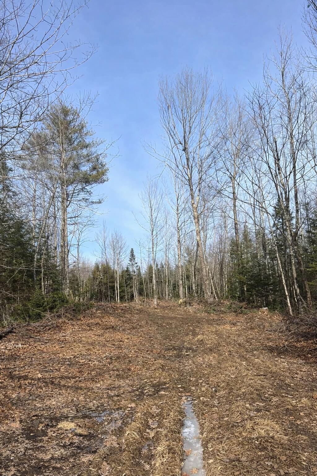 Lot 10 Albion Road Freedom, ME 04941 - Photo 1 of 6 photo1