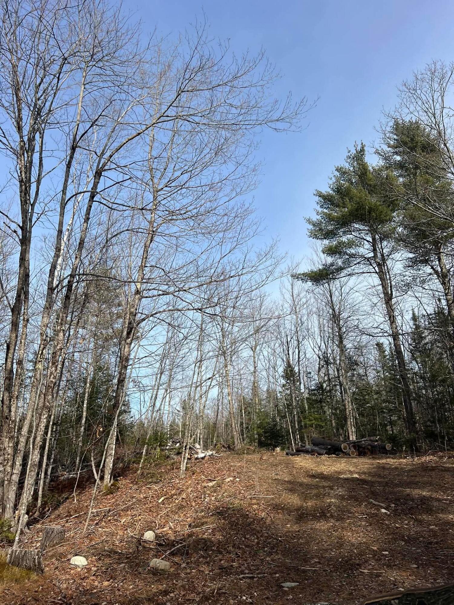 Lot 10 Albion Road Freedom, ME 04941 - Photo 3 of 6 624b1e377b22271e6ebfe230801bd2dd