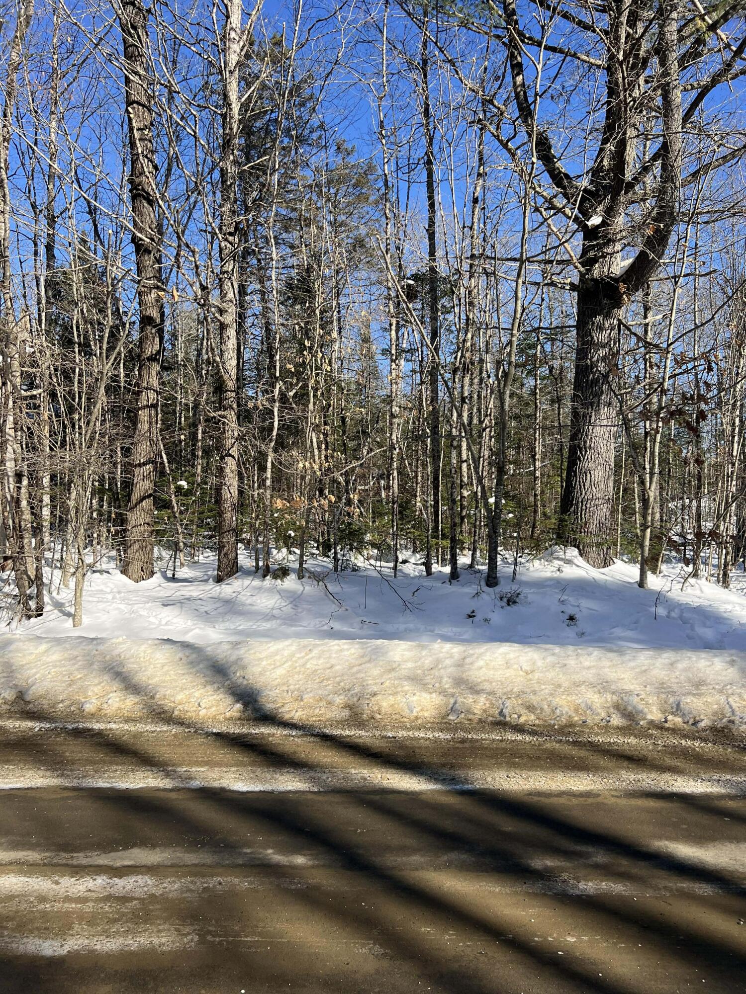 Lot 10 Albion Road Freedom, ME 04941 - Photo 6 of 6 photo5