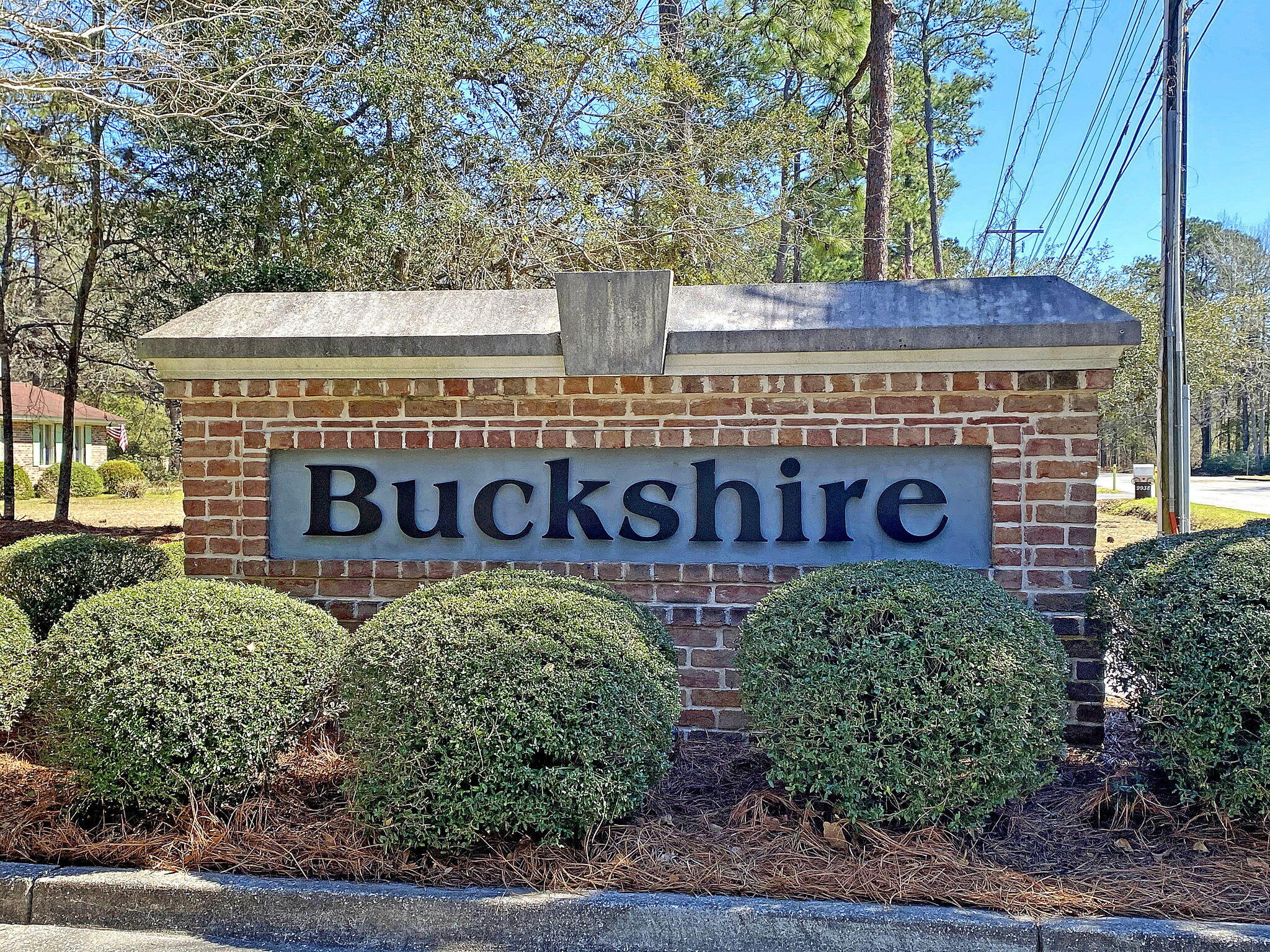 130 Alpine Road Summerville, SC 29485 - Photo 43 of 51 CREM_Buckshire - amenities sign_001
