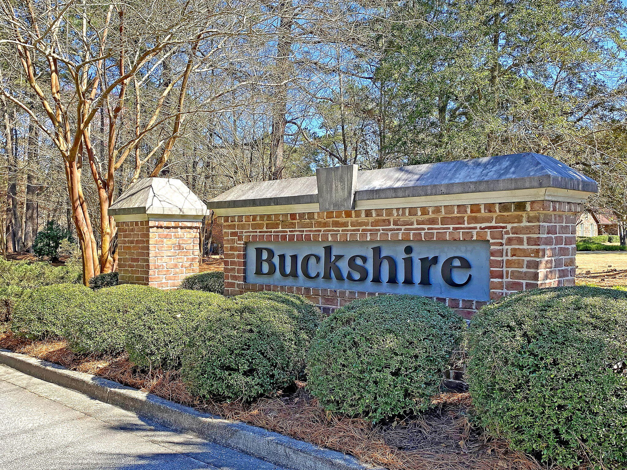 130 Alpine Road Summerville, SC 29485 - Photo 44 of 51 CREM_Buckshire - amenities sign_002