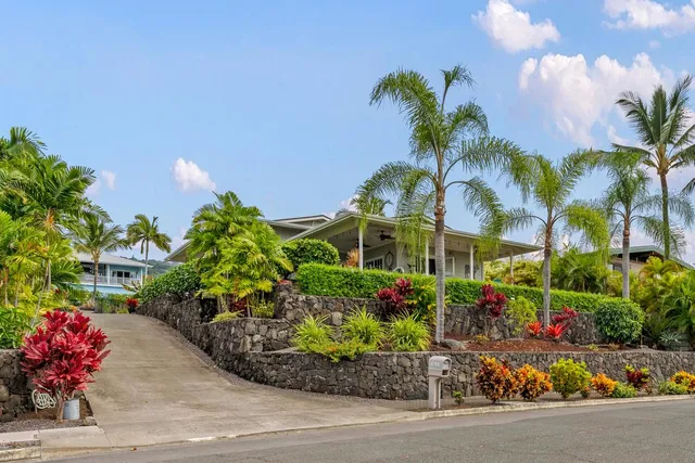 a view of a flower in a garden