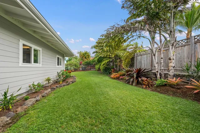 a view of a backyard with potted plants and a large tree