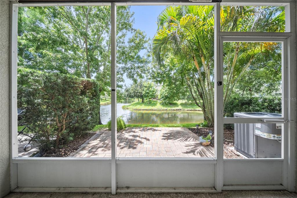 558 Harbor Ridge Drive Palm Harbor, FL 34683 - Photo 20 of 27 a view of a lake from a window