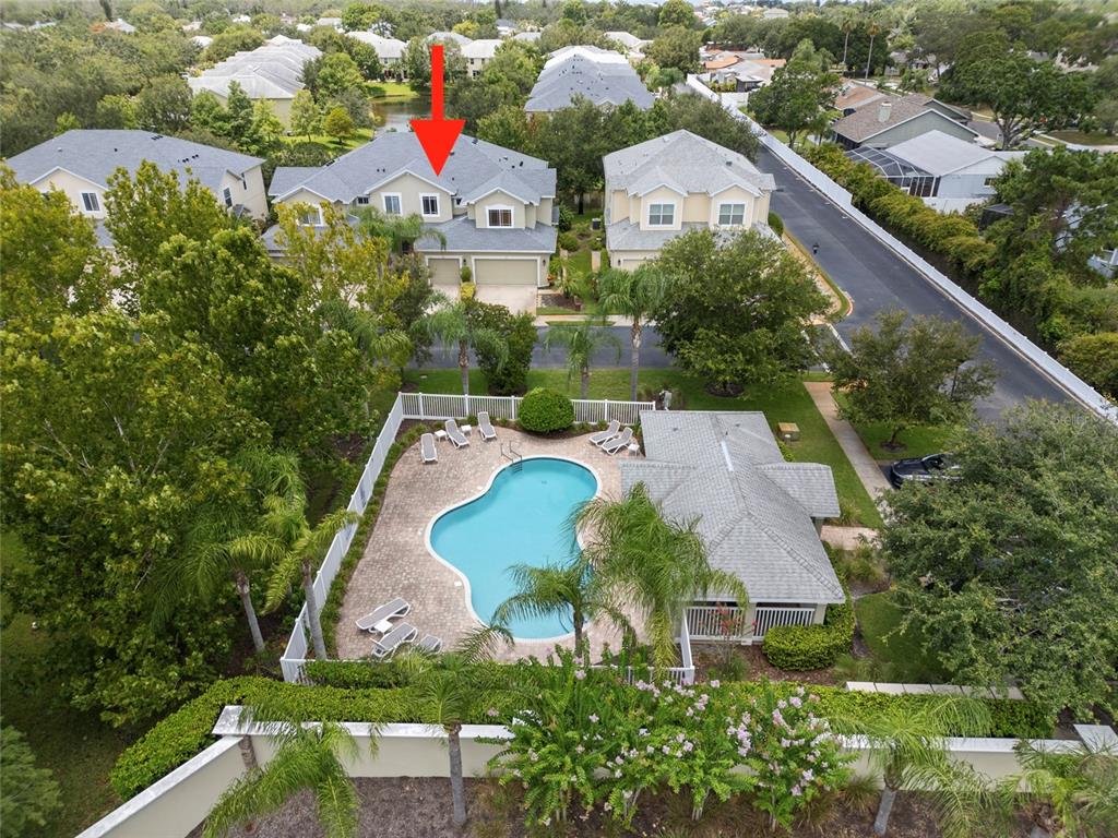 558 Harbor Ridge Drive Palm Harbor, FL 34683 - Photo 23 of 27 an aerial view of residential houses with outdoor space and street view
