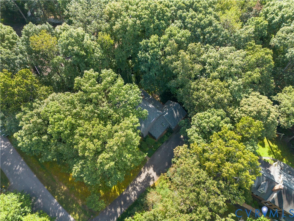 8939 Cardiff Road North Chesterfield, VA 23236 - Photo 41 of 45 Aerial overview of property's location with a fore