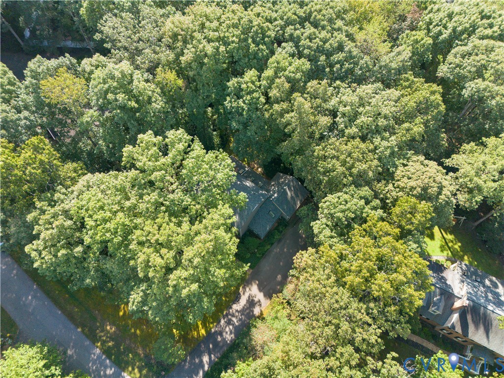 8939 Cardiff Road North Chesterfield, VA 23236 - Photo 42 of 45 Aerial view of property's location with a forest