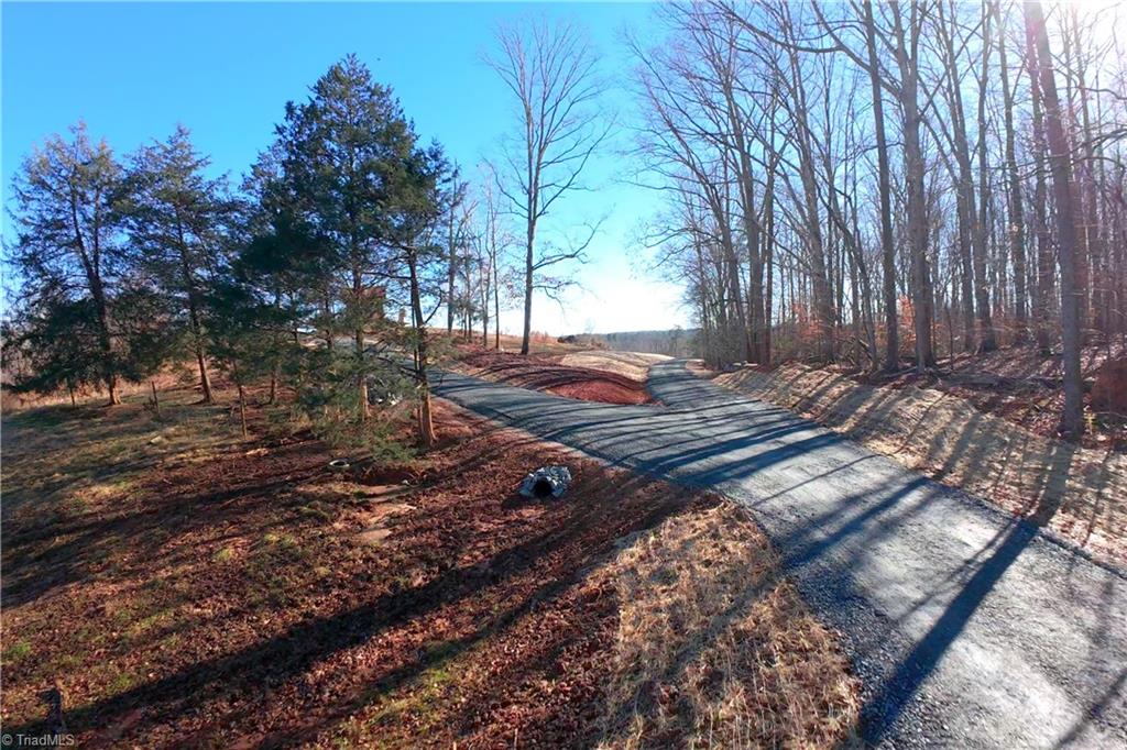 2 Roby Fulk Road Pinnacle, NC 27043 - Photo 1 of 24