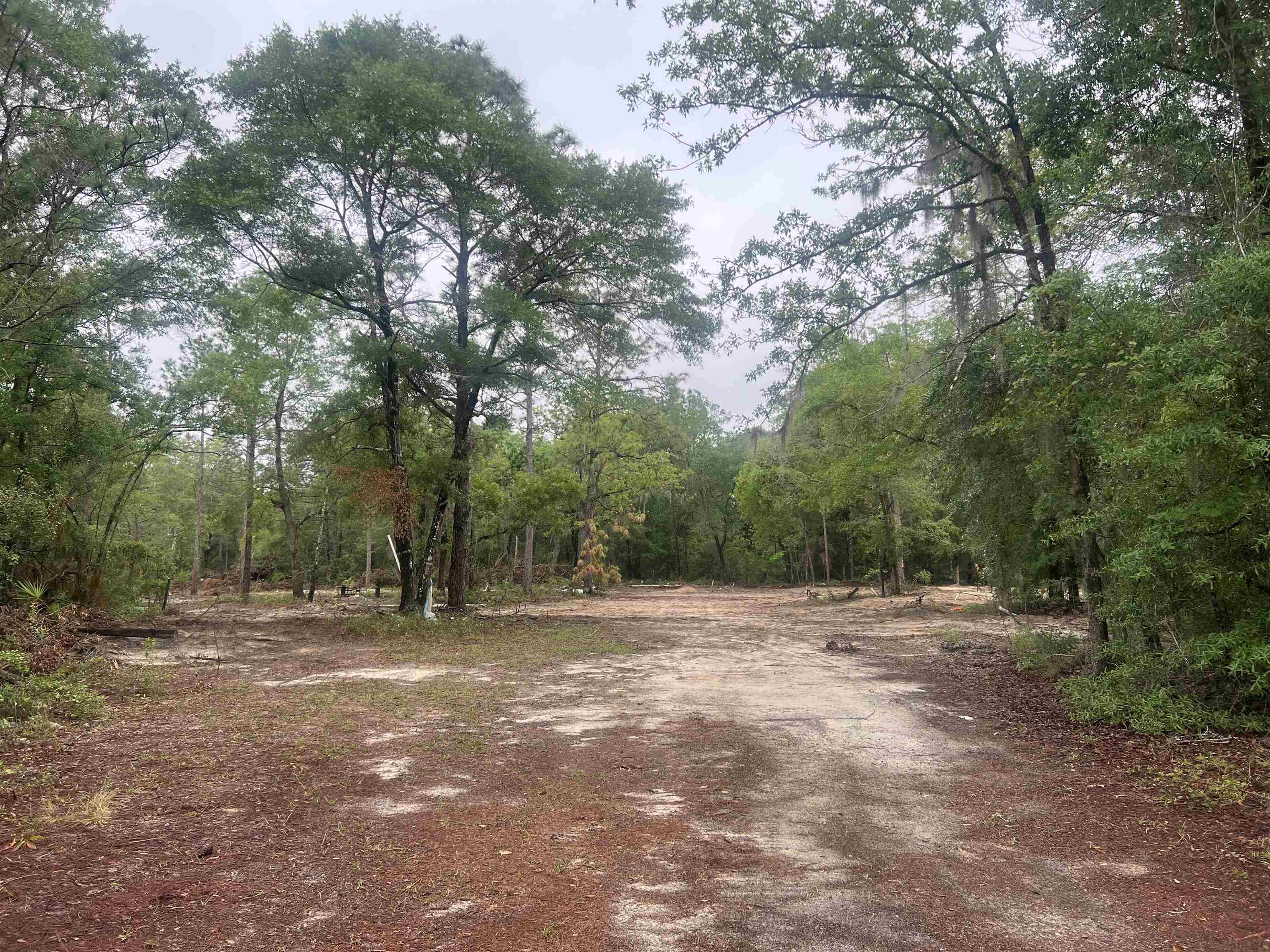 45 Old Federal Road Quincy, FL 32351 - Photo 1 of 8