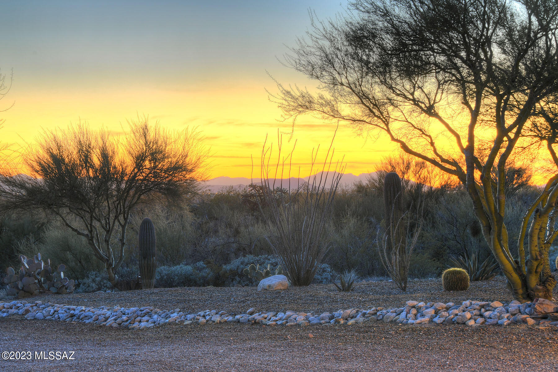 4303 South Escalante Ridge Place Tucson, AZ 85730 - Photo 39 of 40
