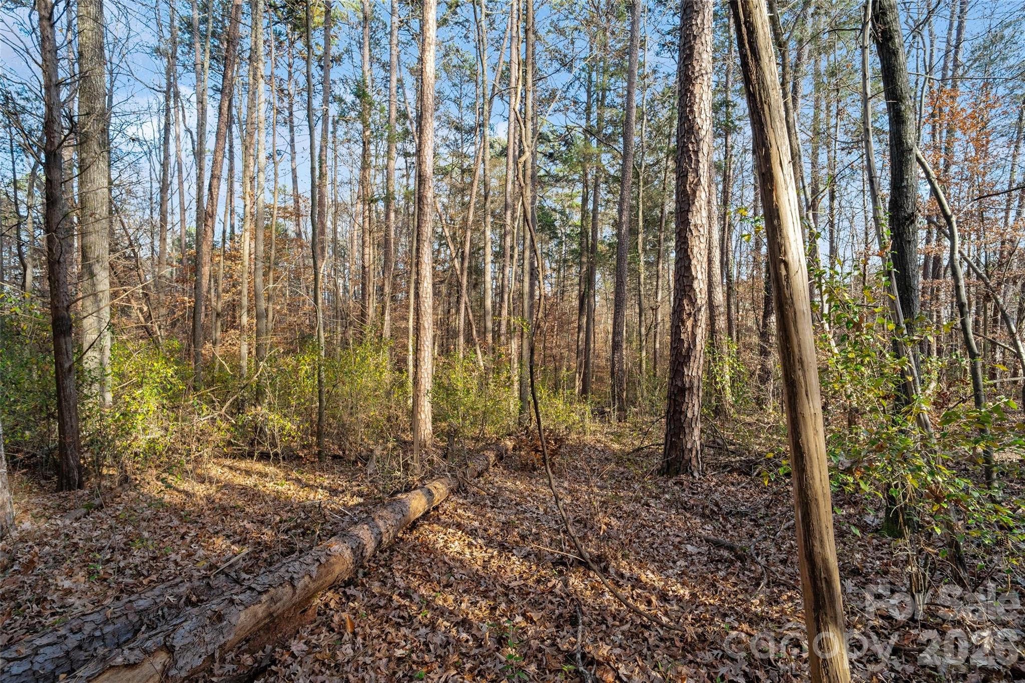 0 Sandy Ford Road Mount Holly, NC 28120 - Photo 12 of 12