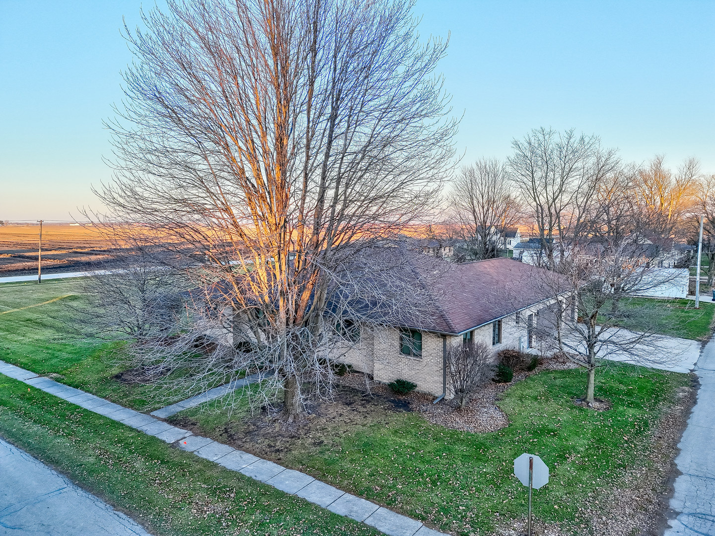 145 Porter Avenue Grand Ridge, IL 61325 - Photo 1 of 32 a view of a house with backyard and a tree