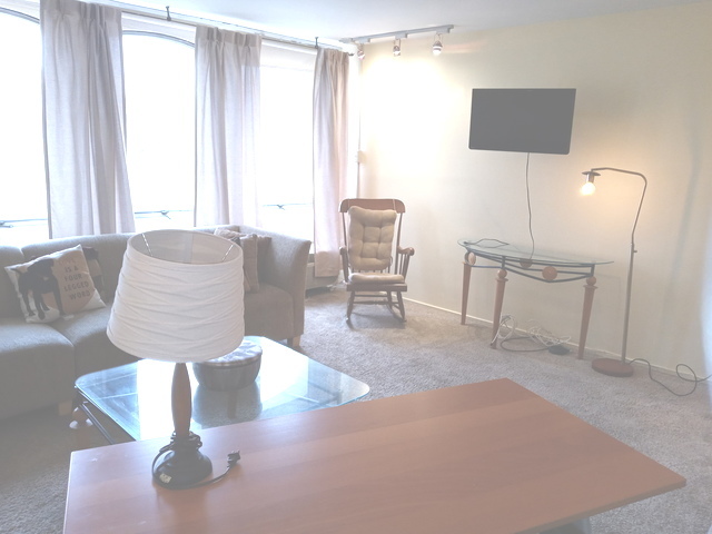 1451 East 55th Street, Unit 523N Chicago, IL 60615 - Photo 4 of 11 a living room with furniture and a window