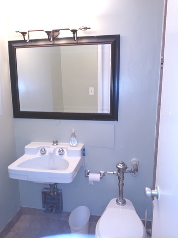 1451 East 55th Street, Unit 523N Chicago, IL 60615 - Photo 6 of 11 a bathroom with a sink mirror and toilet