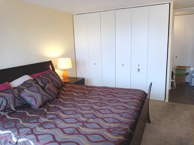 a bedroom with a bed and a closet