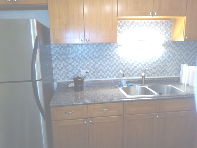 1451 East 55th Street, Unit 523N Chicago, IL 60615 - Photo 8 of 11 a close view of sink and tap