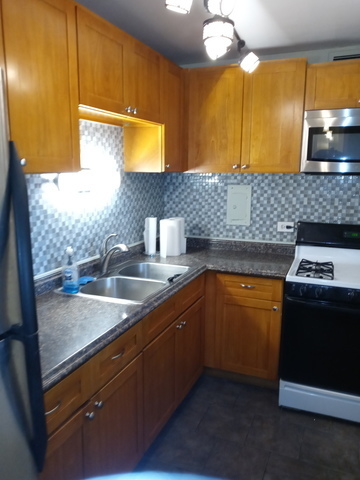 1451 East 55th Street, Unit 523N Chicago, IL 60615 - Photo 9 of 11 a kitchen with stainless steel appliances granite countertop a sink a stove and a microwave