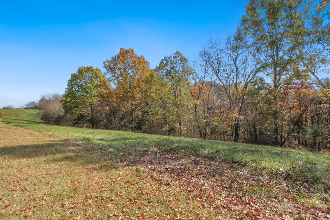 1444 Fairview Road Lawrenceburg, KY 40342 - Photo 30 of 34 Land--1 (Medium)