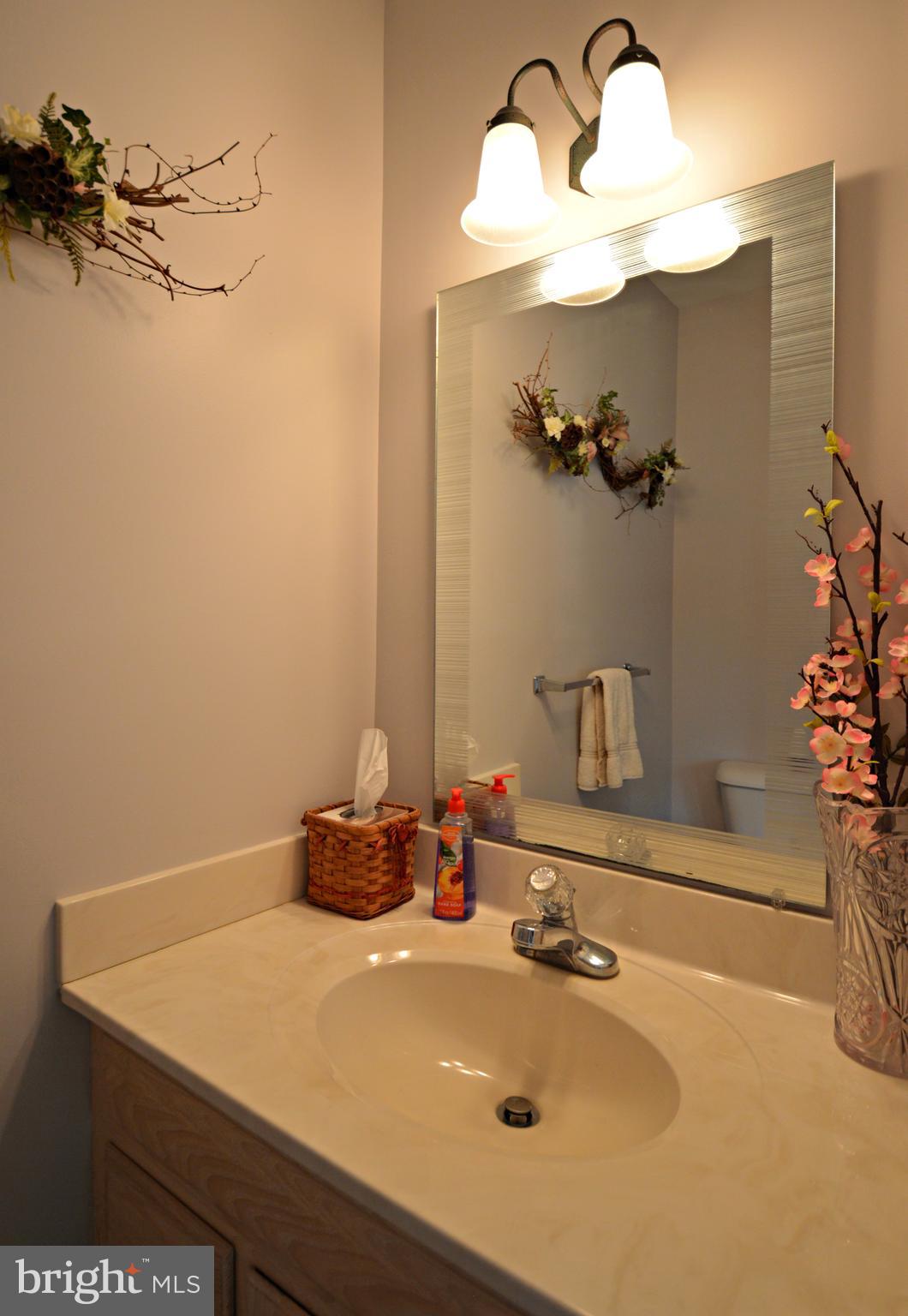 511 Spring Avenue Lititz, PA 17543 - Photo 13 of 29 1st floor powder room - in 4 season room