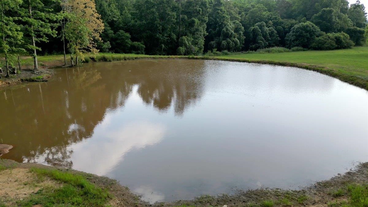 0 Hipps Road Simpsonville, SC 29680 - Photo 12 of 12