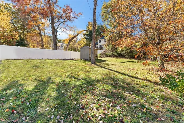 a view of yard with trees