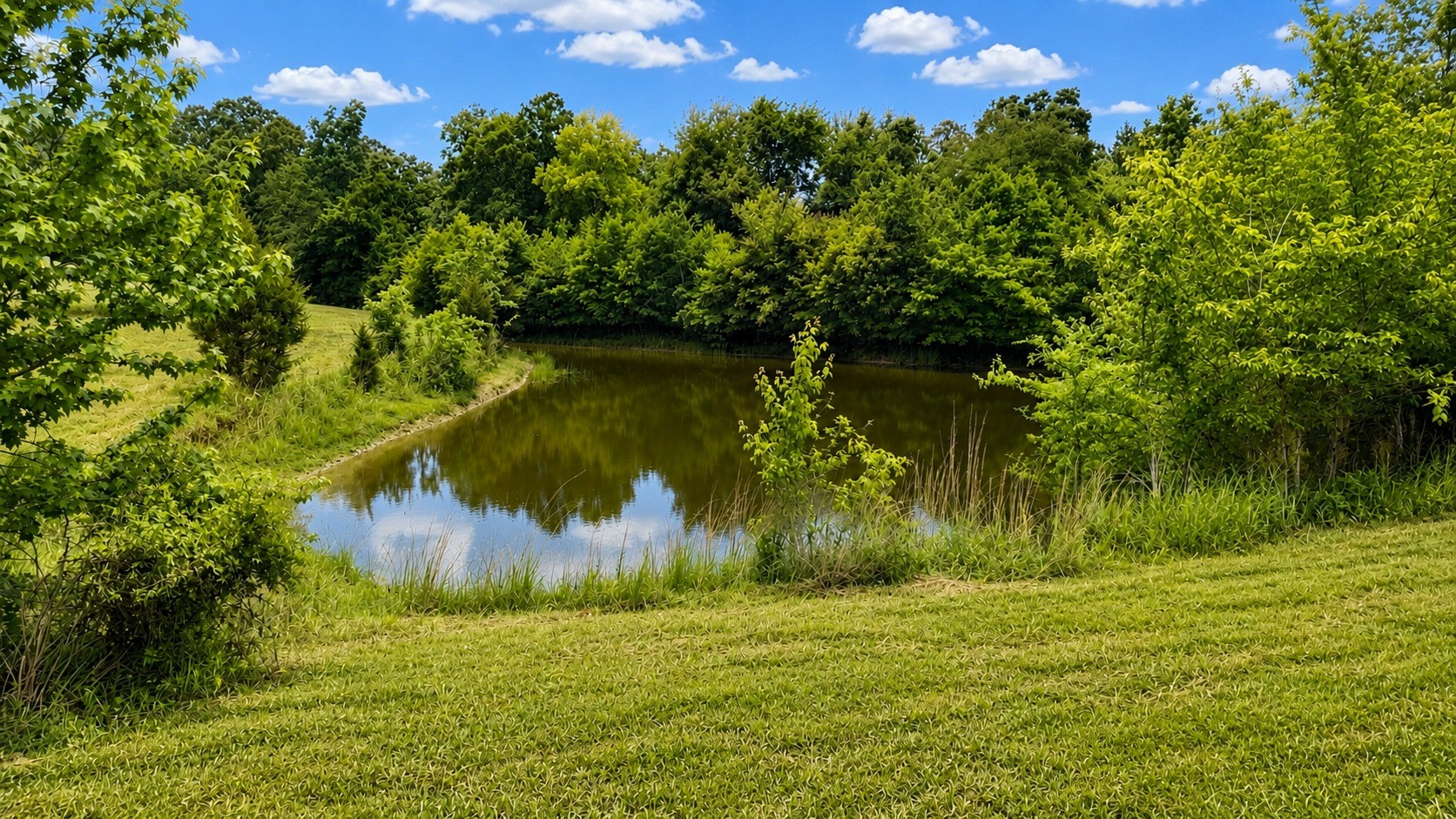 4501 West Tennessee City Road McEwen, TN 37101 - Photo 5 of 72