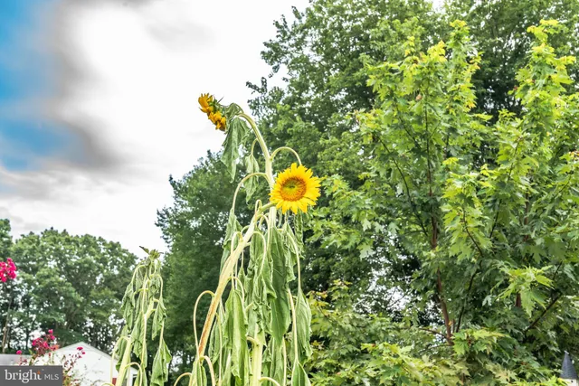 $499,000 | 10213 Germantown Road, Berlin, MD 21811