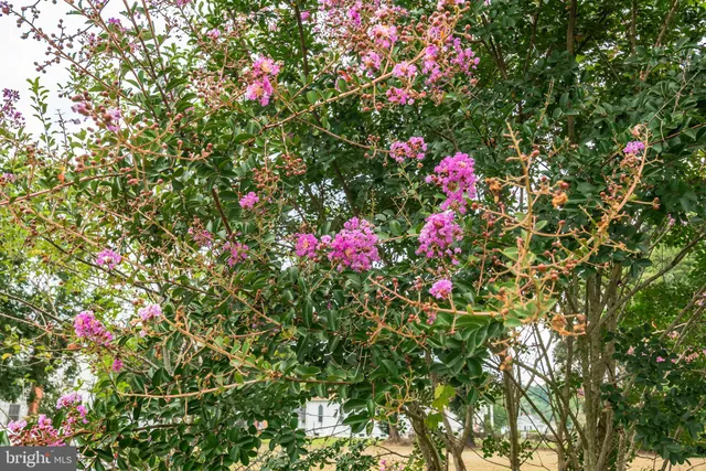 $499,000 | 10213 Germantown Road, Berlin, MD 21811