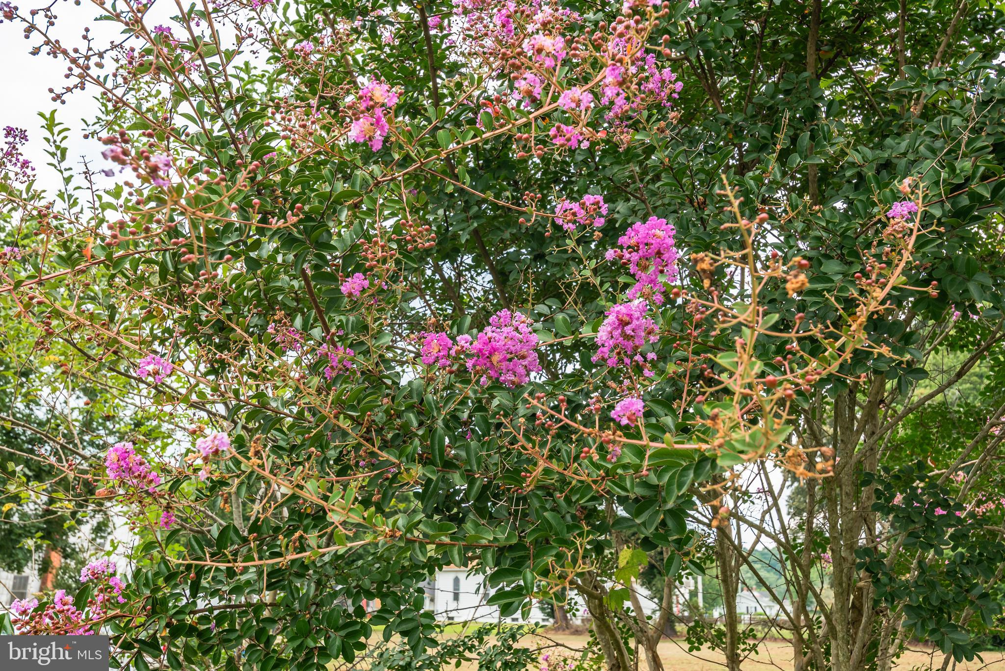 10213 Germantown Road Berlin, MD 21811 - Photo 71 of 118