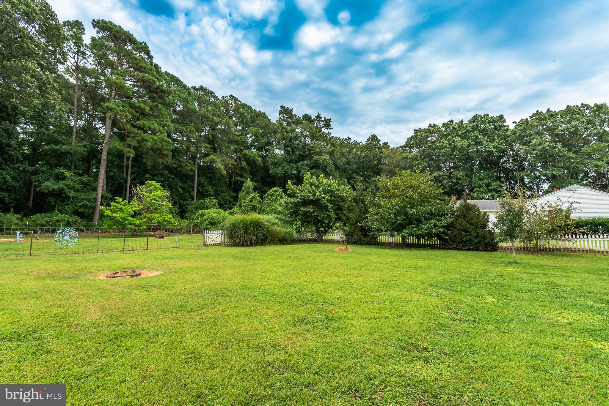 10213 Germantown Road Berlin, MD 21811 - Photo 78 of 118 a view of a grassy field with trees in the background