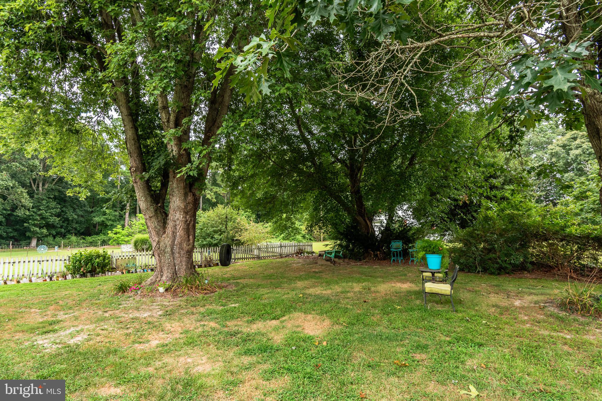 10213 Germantown Road Berlin, MD 21811 - Photo 80 of 118 a view of a tree in a yard