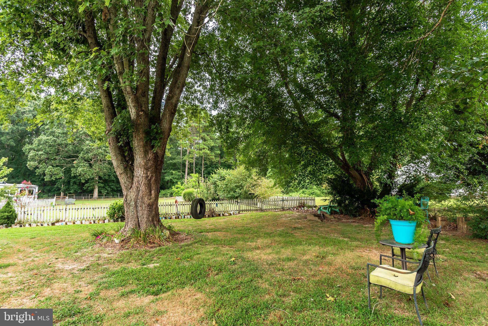 10213 Germantown Road Berlin, MD 21811 - Photo 85 of 118 a view of a backyard with a bench and a large tree