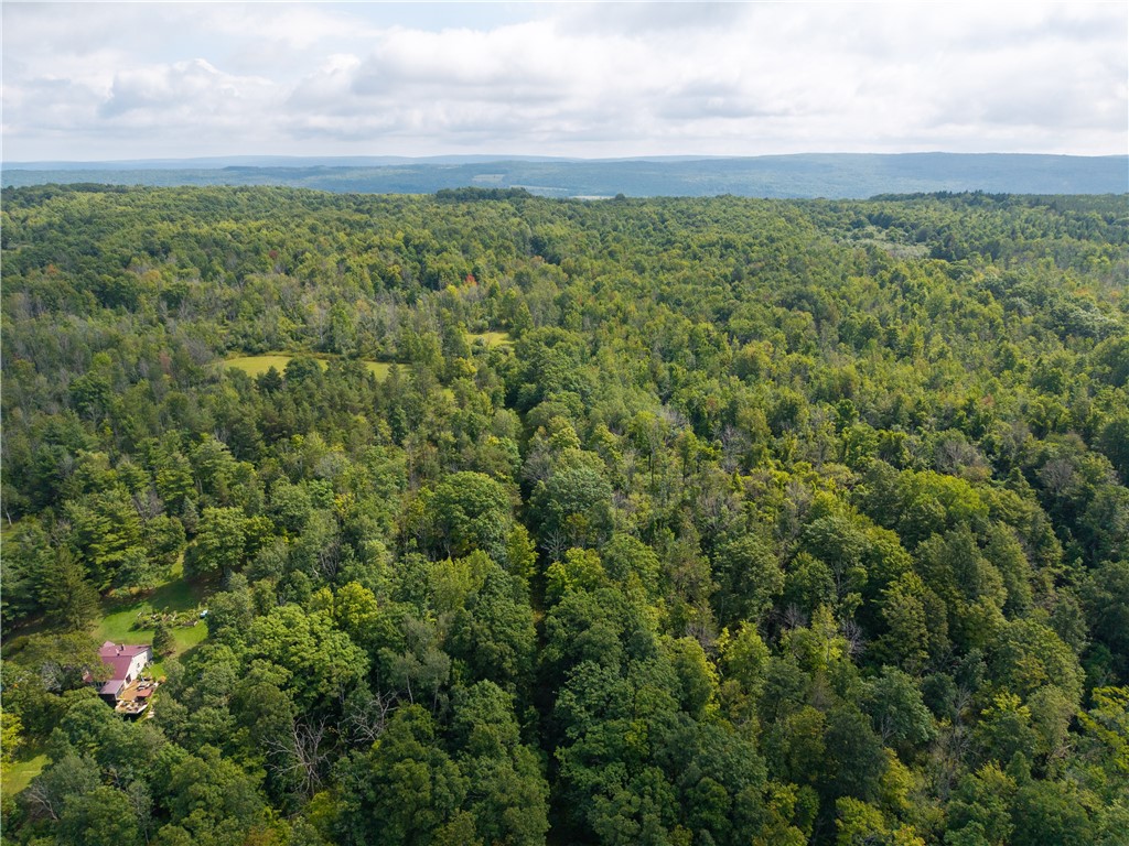 Old Bald Hill Road Hemlock, NY 14466 - Photo 2 of 16 Gallery Image 2
