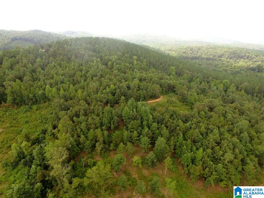 796 Alawashky Road, Unit 46 ACRES Ashland, AL 36251 - Photo 7 of 17