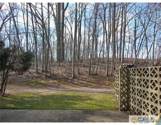 4504 Stonehedge Road Edison, NJ 08820 - Photo 15 of 16 a view of a backyard with trees