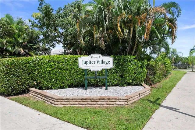 a view of a park with plants and large trees