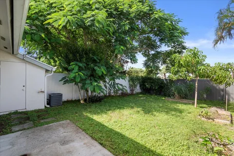 a view of a backyard with a tree