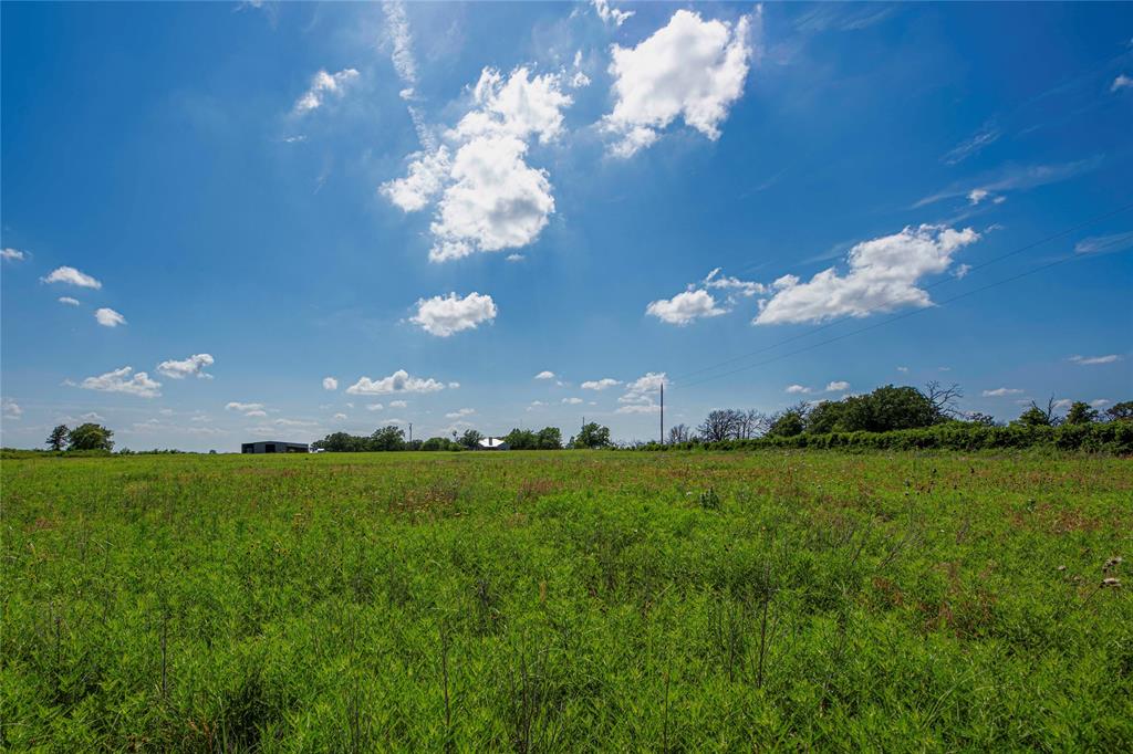 1217 Highway 2731 Rising Star, TX 76471 - Photo 4 of 9