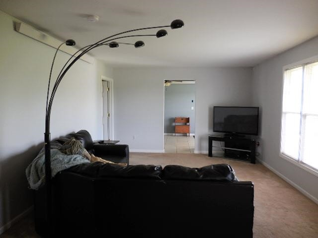 13653-1365 Calhoun Road Addison, MI 49220 - Photo 3 of 25 Photo 3